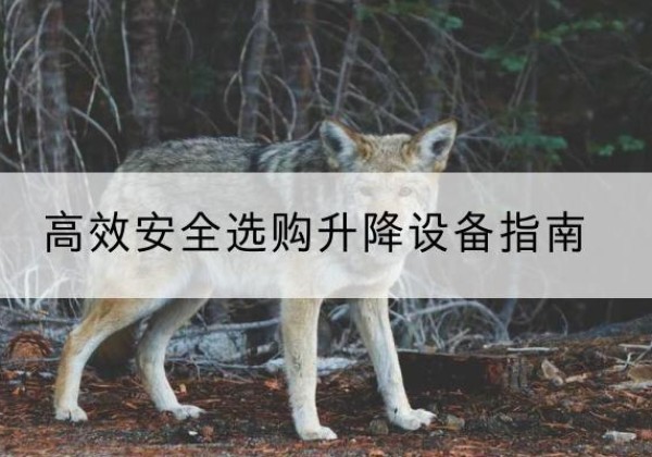 河南升降货梯厂家推荐-*安全选购升降设备指南